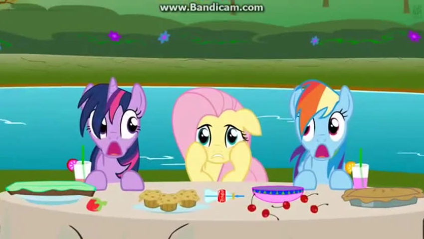 My_Little_Pony_Friendship_is_Magic_Fluttershys_FlutterSurprise (2013 ...